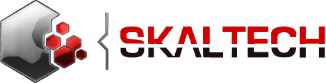Logo Skaltech